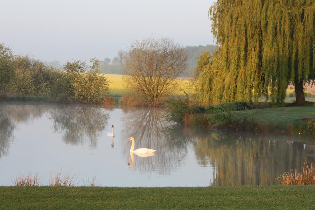 Domaine De La Guignardiere Vievy-le-Raye ภายนอก รูปภาพ